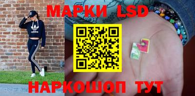 индика Беслан