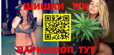 индика Беслан
