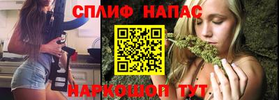 индика Беслан