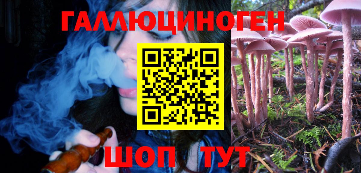 Касимов  Псилоцибиновые грибы ЛСД  Вход с VPN  Галлюциногенные грибы Cubensis 